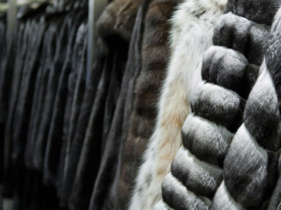 mink coat