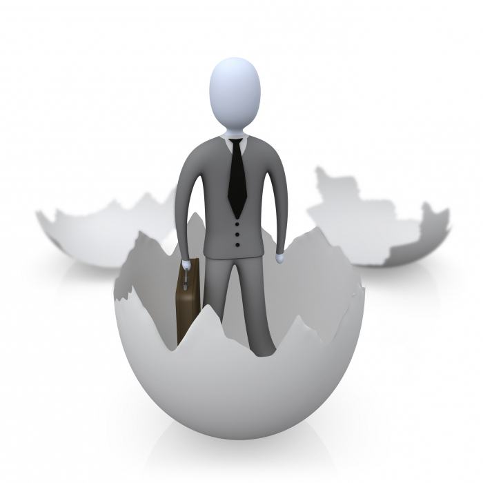 entrepreneur