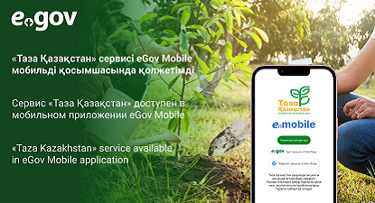 mobile phone