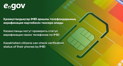 микрочип