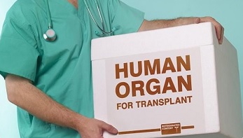 organ transplantation